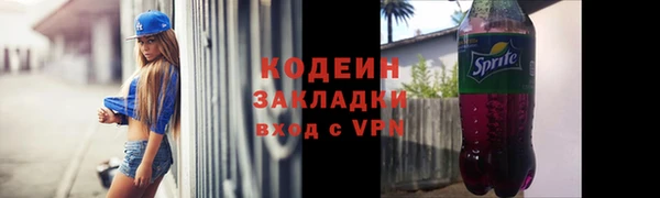 ПСИЛОЦИБИНОВЫЕ ГРИБЫ Арсеньев