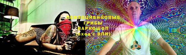 ПСИЛОЦИБИНОВЫЕ ГРИБЫ Арсеньев