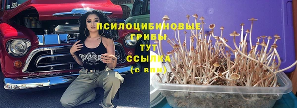Альфа ПВП Армянск
