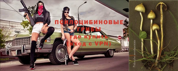 ПСИЛОЦИБИНОВЫЕ ГРИБЫ Арсеньев