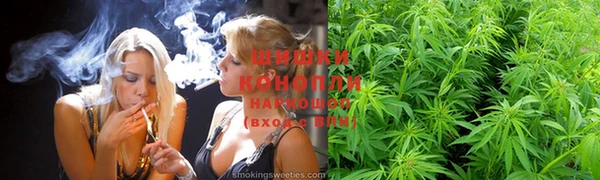 гидропоника Аркадак