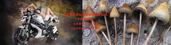 каннабис Алексин