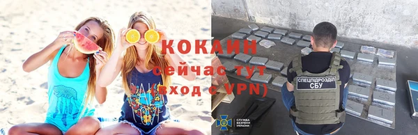 ПСИЛОЦИБИНОВЫЕ ГРИБЫ Арсеньев