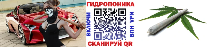 купить наркотик  Трёхгорный  Бошки Шишки MAZAR 